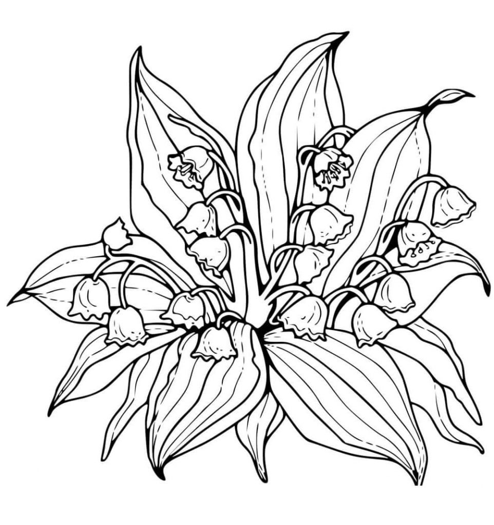 Coloriage Fleurs de Muguet Realiste à imprimer