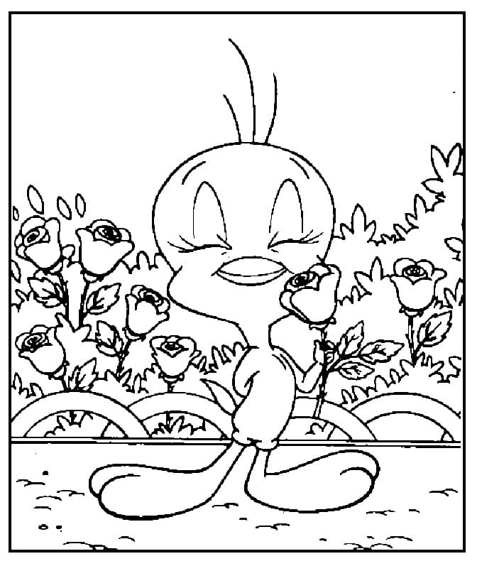 Coloriage Titi Looney Tunes 5