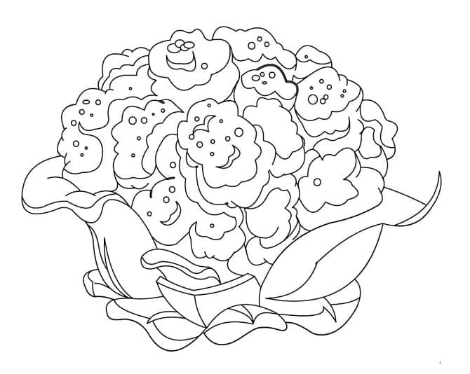 Coloriage Chou-fleur 2