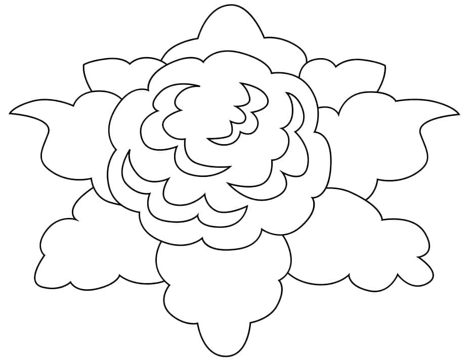 Coloriage Chou-fleur Facile