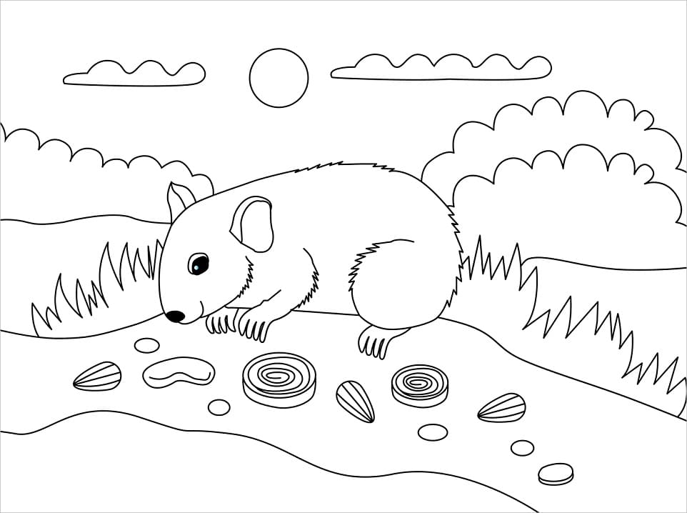 Coloriage Hamster 1 à imprimer