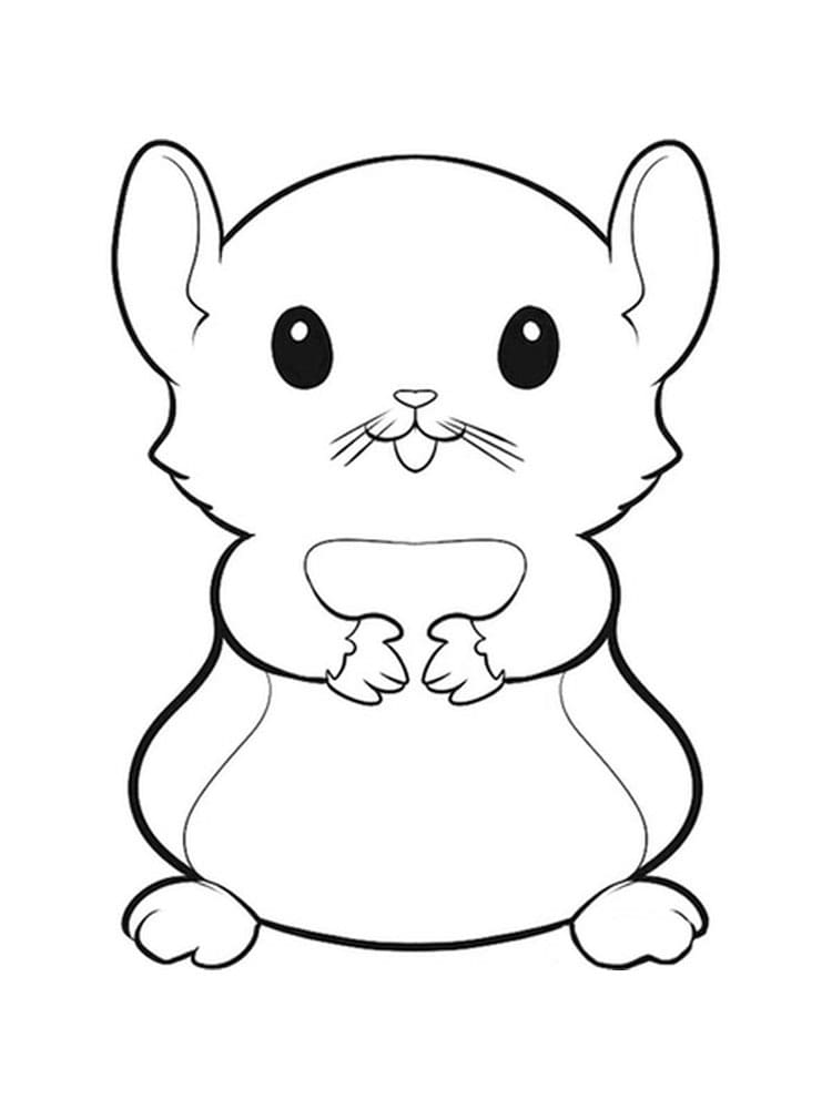 Coloriage Hamster 3 à imprimer