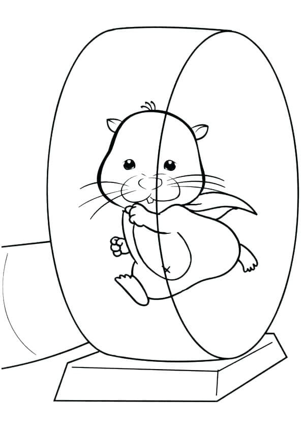Coloriage Hamster En Cours D’exécution à imprimer