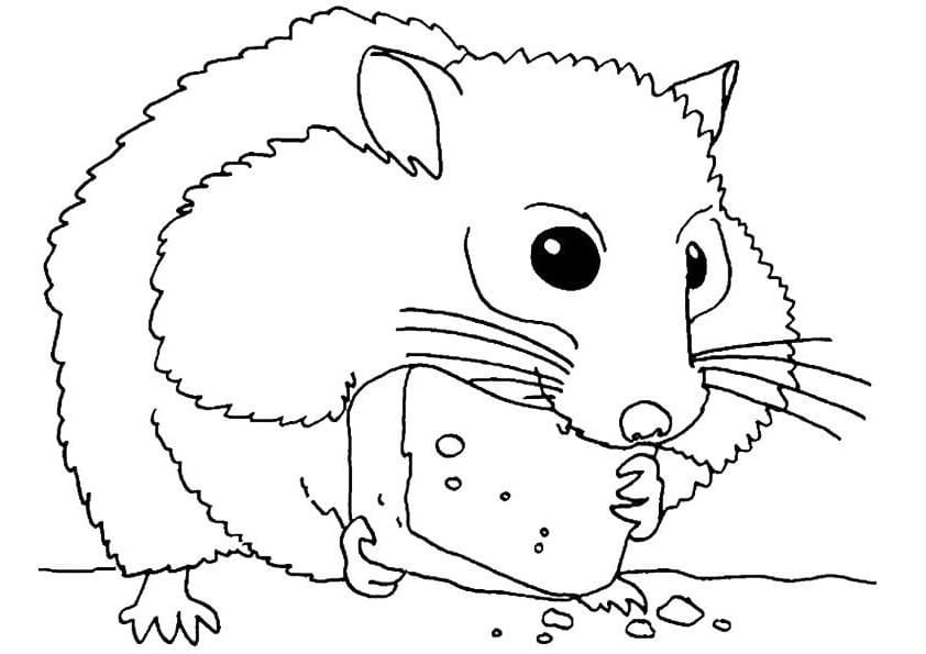 Coloriage Hamster Mangeant un Biscuit à imprimer