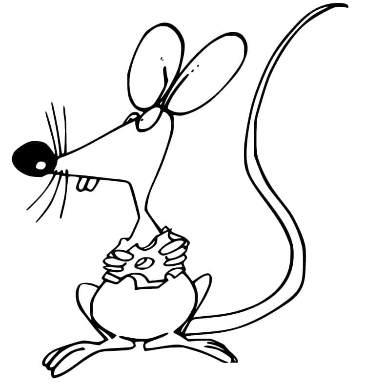 Coloriage Rat Drôle