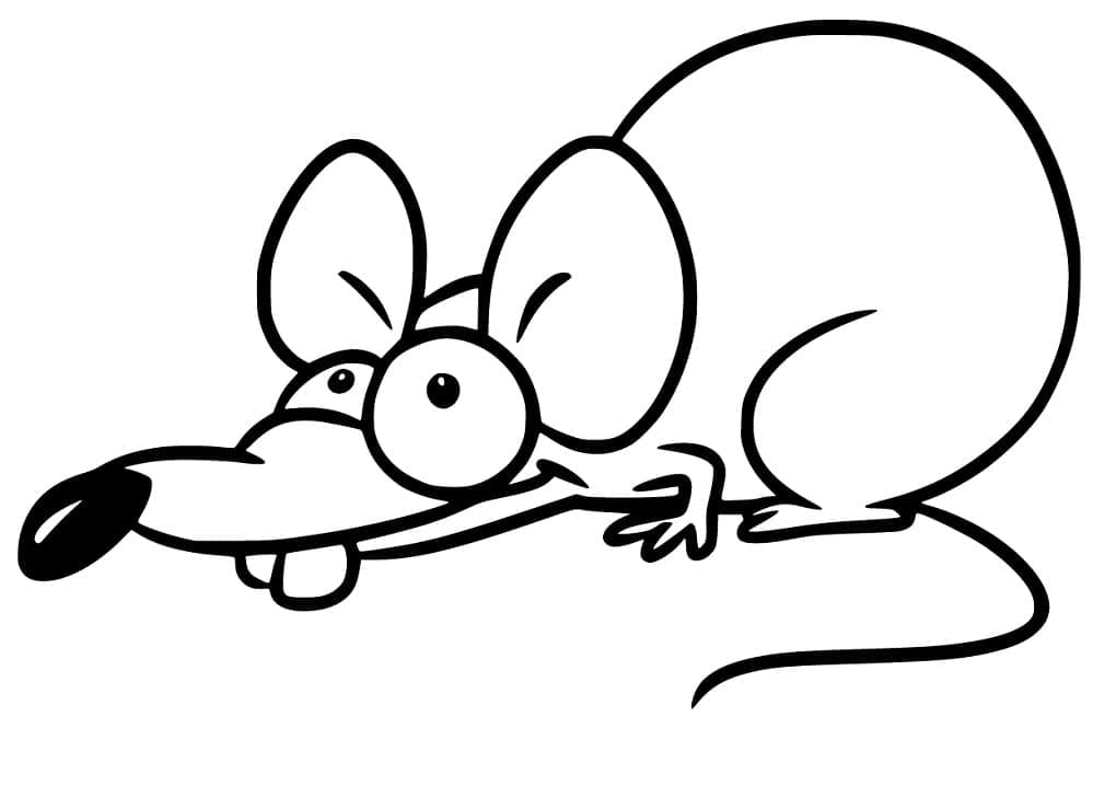 Coloriage Rat Laid