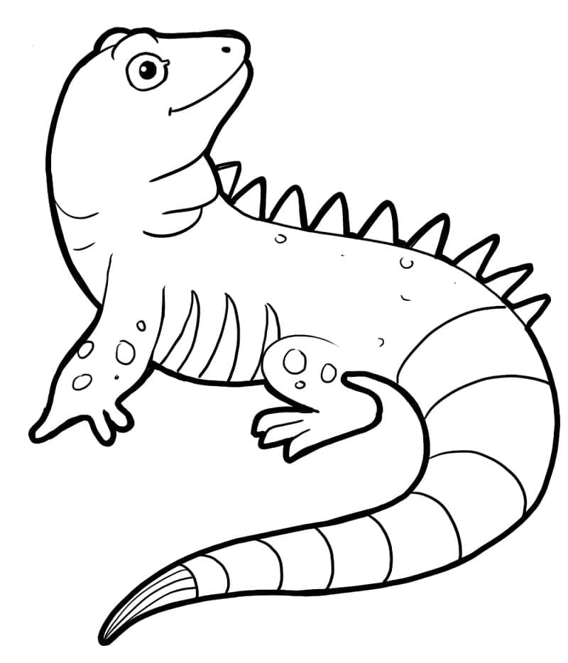 Coloriage Iguane Drôle