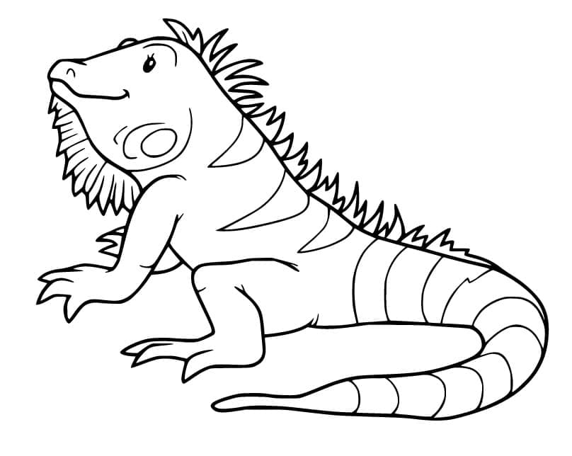 Coloriage Iguane Souriant