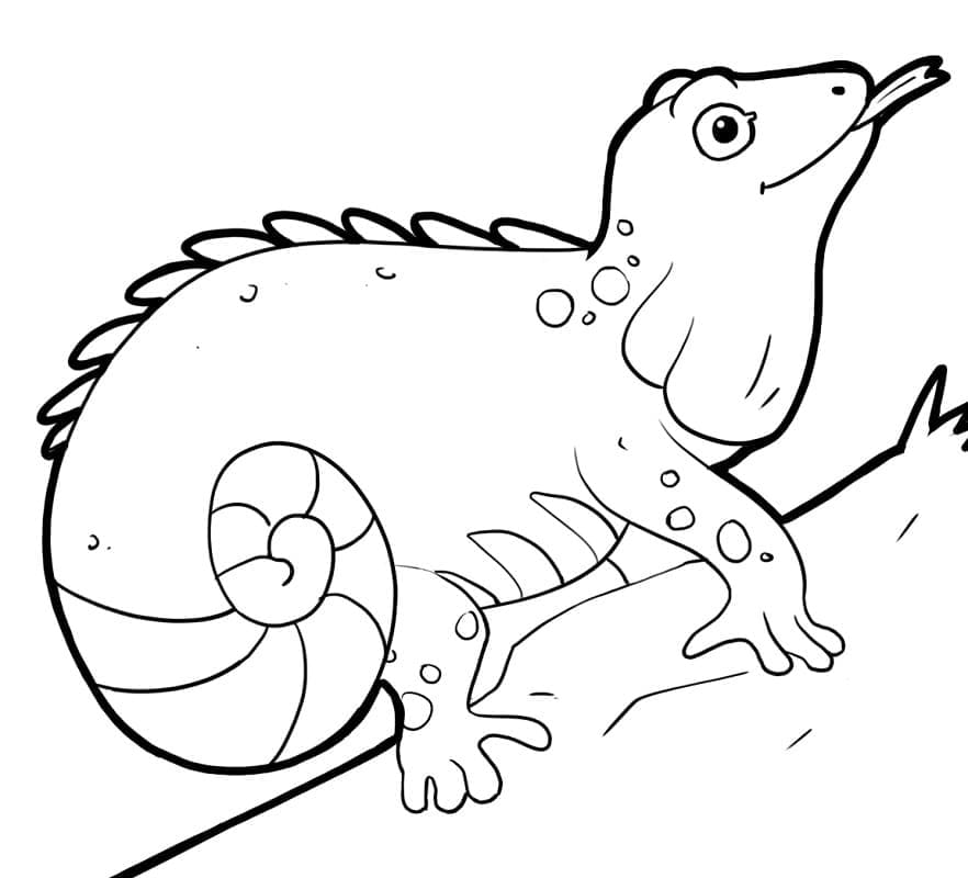 Coloriage Iguane de Dessin Animé