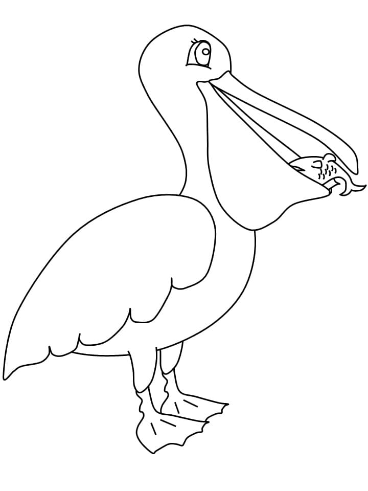 Coloriage Pélican avec un Poisson à imprimer