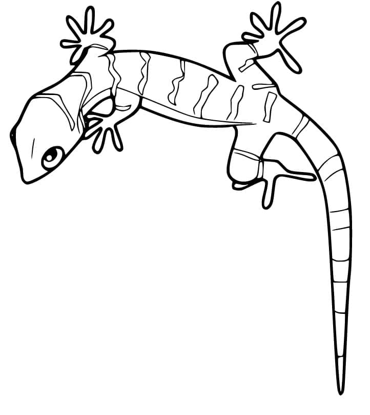 Coloriage Gecko (1) à imprimer
