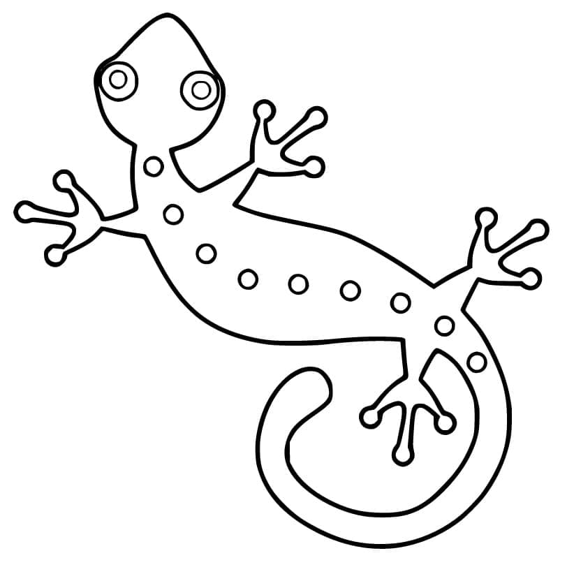 Coloriage Gecko (2) à imprimer