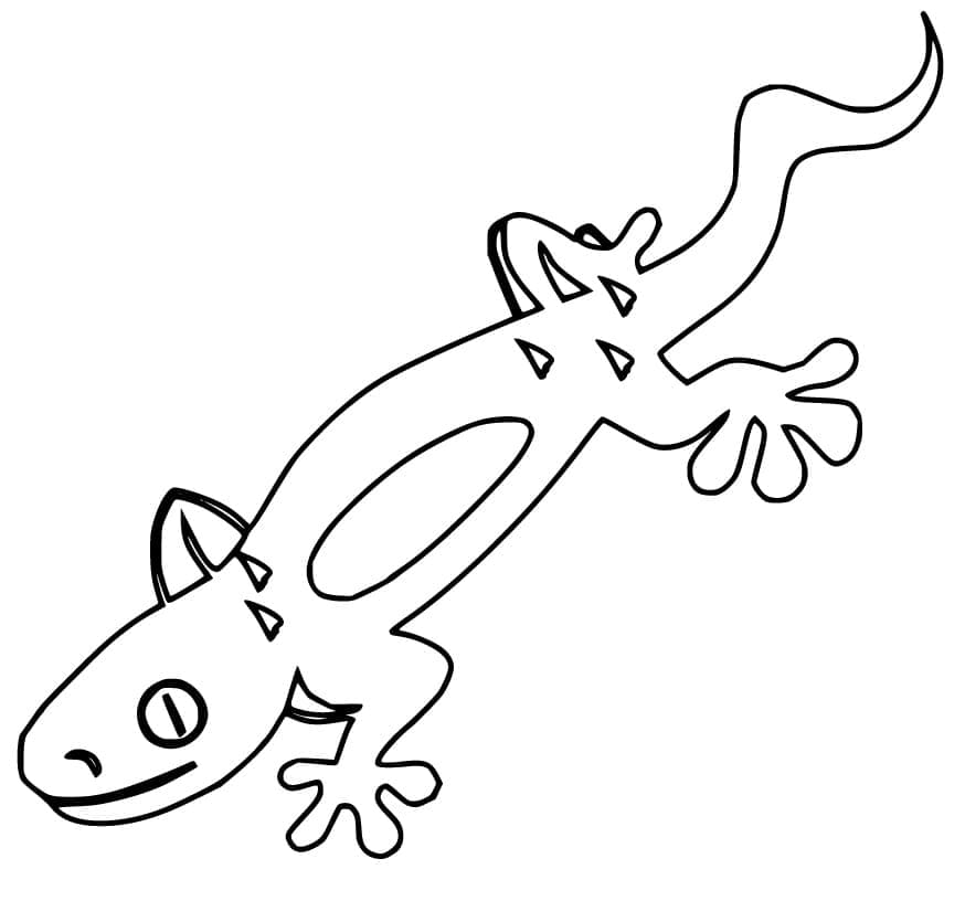 Coloriage Gecko (4) à imprimer