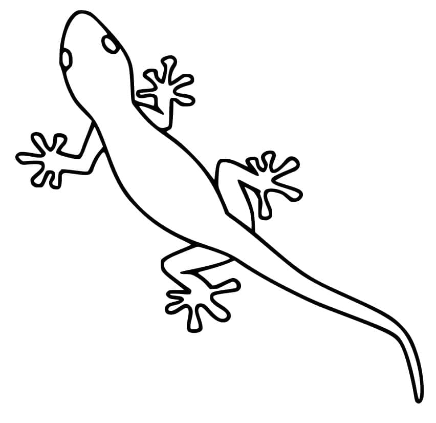 Coloriage Gecko (7) à imprimer