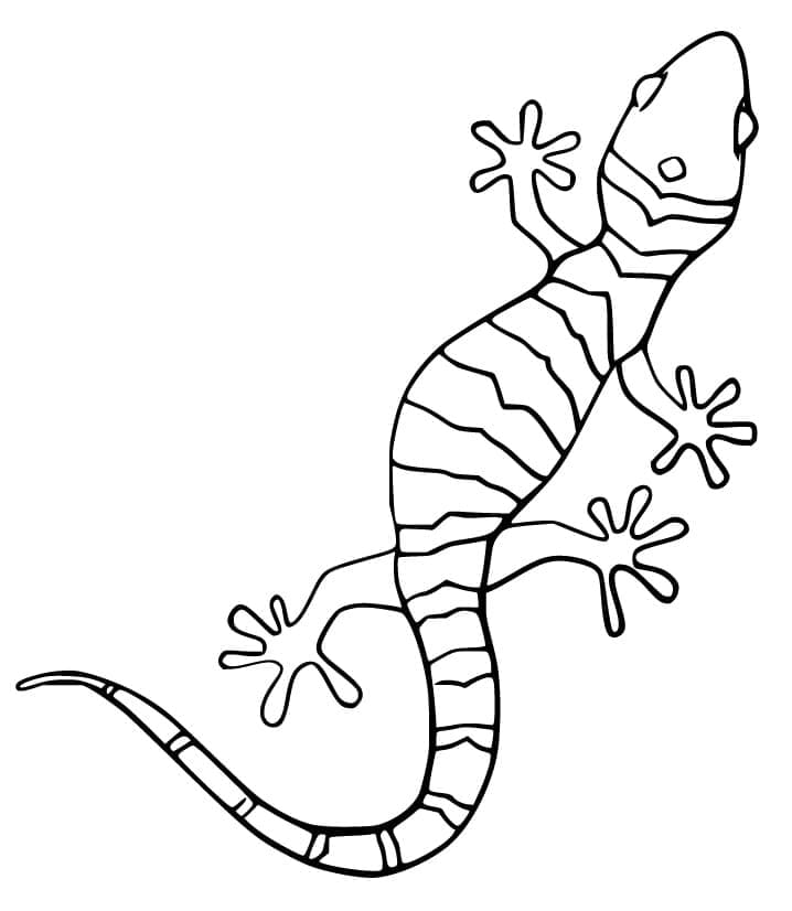Coloriage Gecko Rampant à imprimer