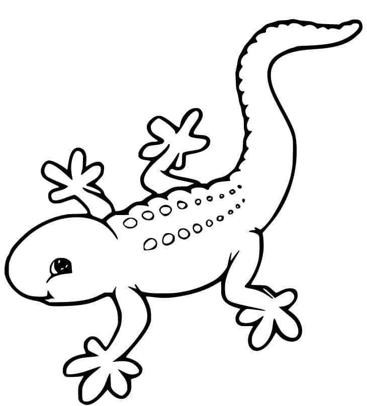 Coloriage Gecko mignon à imprimer