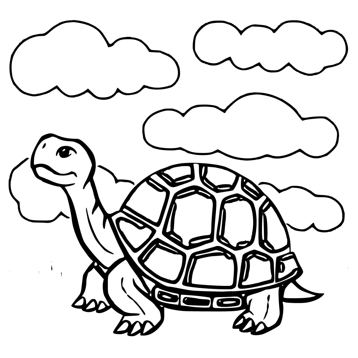 Coloriage Tortue basique