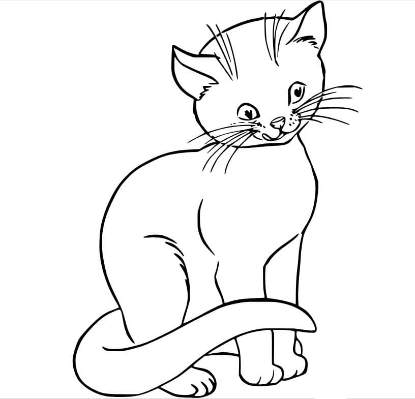 Coloriage Dessine beau chat à imprimer