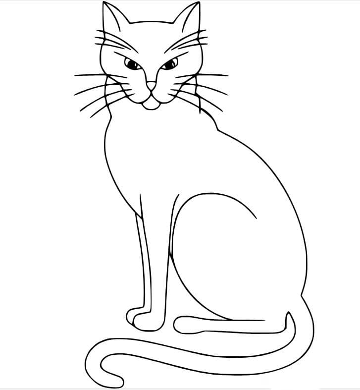 Coloriage Dessine grand chat mince à imprimer