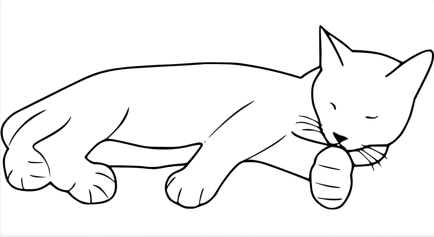 Coloriage Dessiner Chat facile sur le sol à imprimer