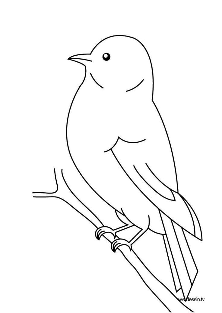 Coloriage Dessin d’oiseau de base facile à imprimer