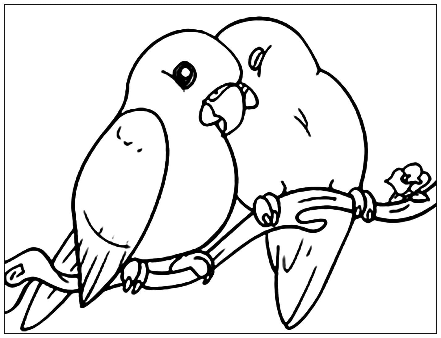 Coloriage Dessine deux oiseaux mignons à imprimer