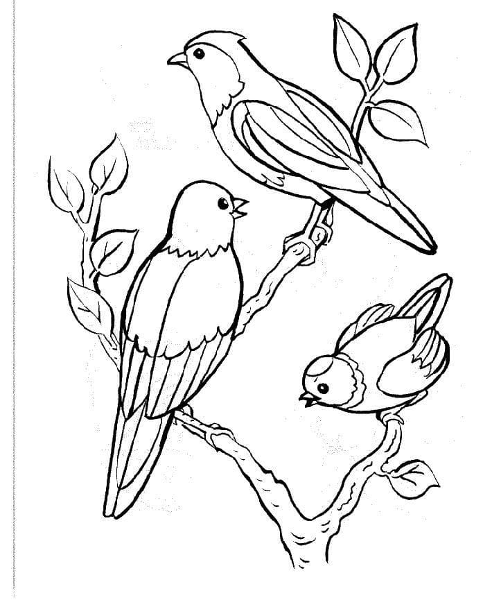 Coloriage Dessine trois oiseaux à imprimer