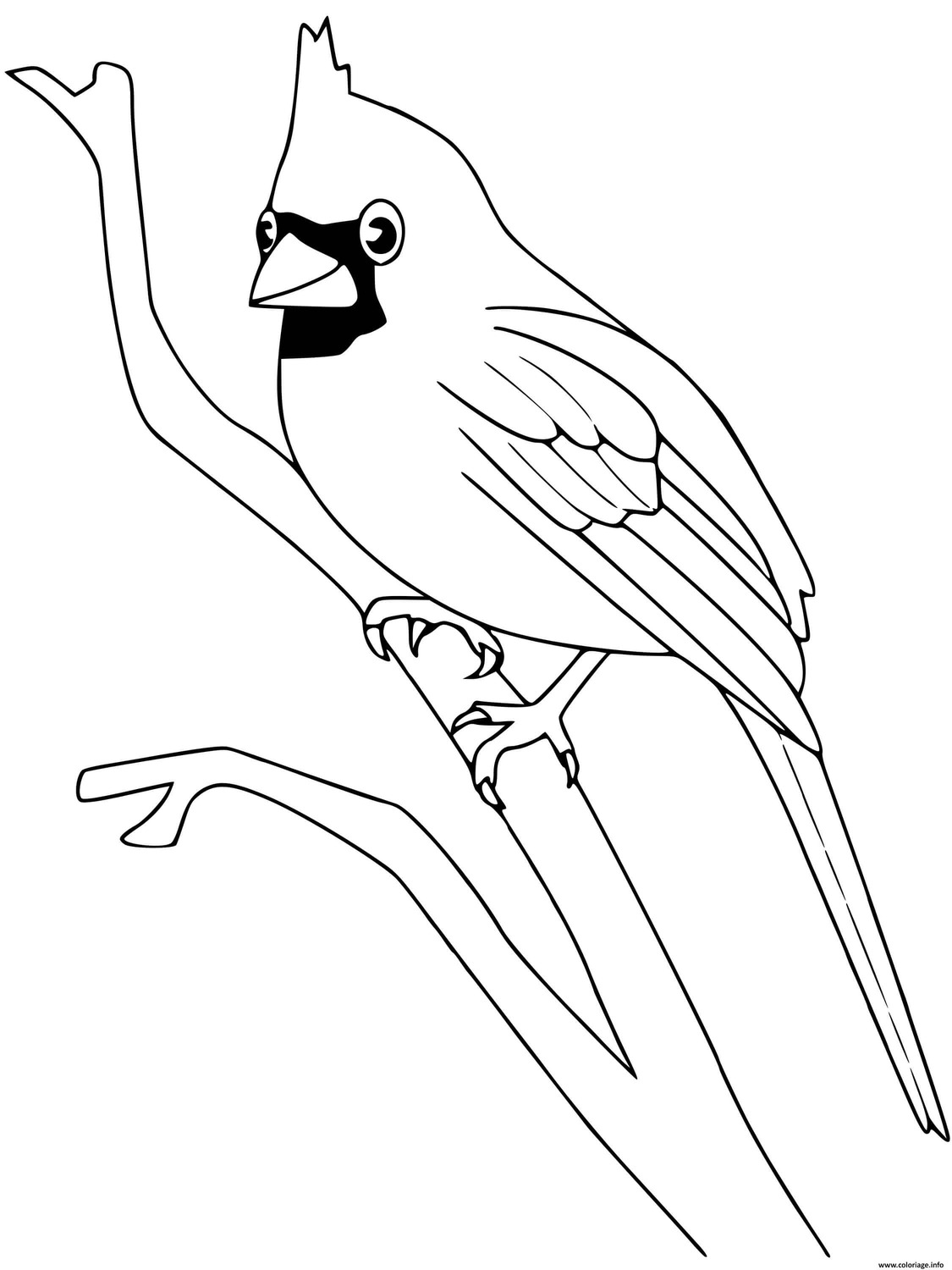 Coloriage Dessiner Des Oiseaux Facilement à imprimer