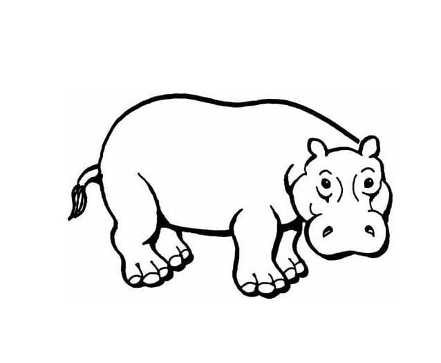 Coloriage Hippopotame chez enfant à imprimer