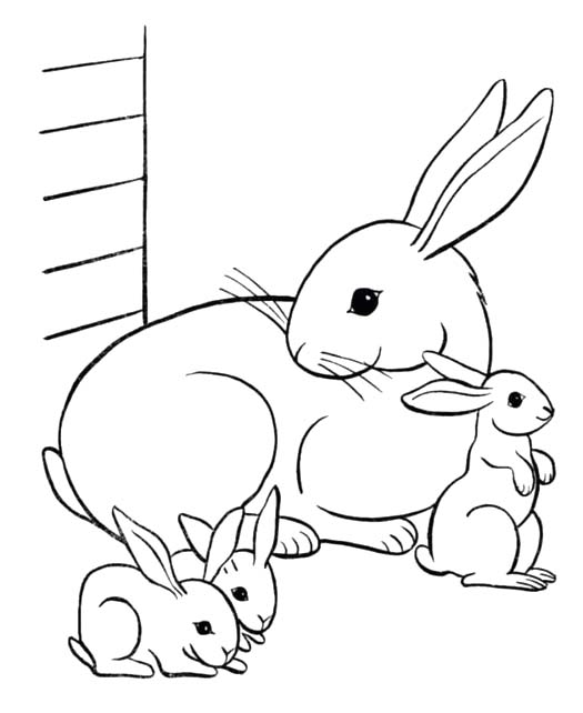 Coloriage Dessin Lapin famille