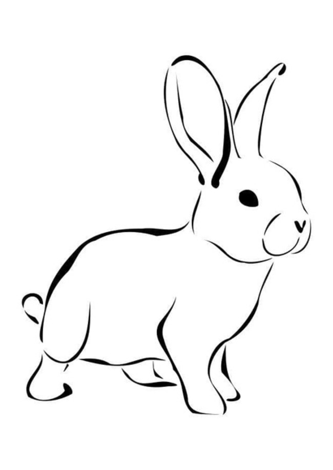 Coloriage Dessin Lapin imprimable facile
