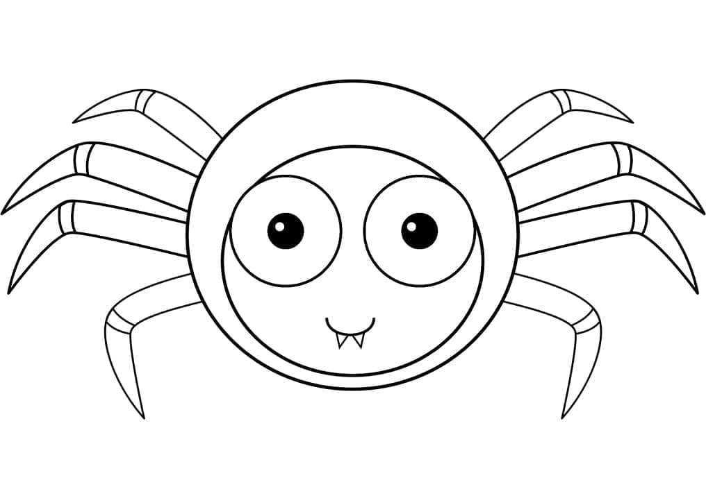 Coloriage Adorable araignée Gratuit à imprimer