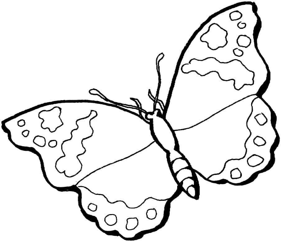 Coloriage Beau papillon à imprimer