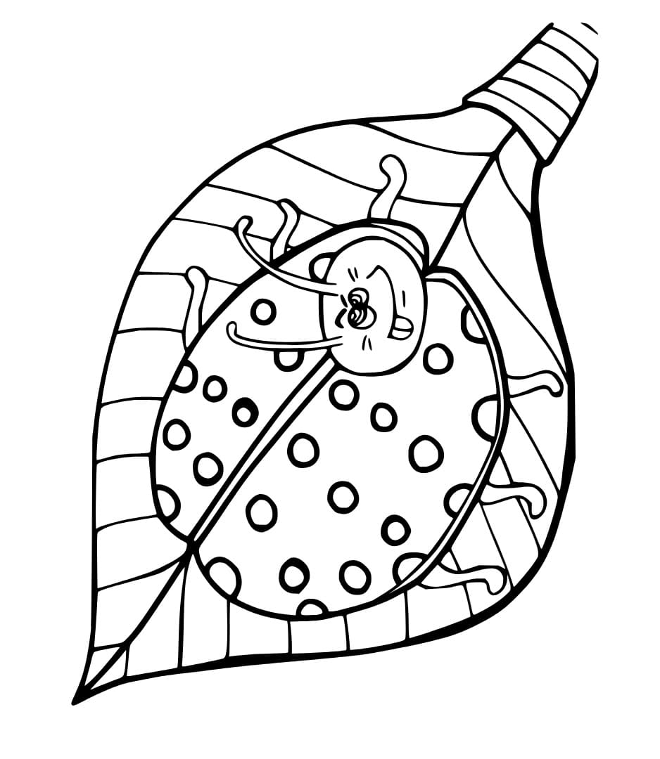 Coloriage Coccinelle amusante à imprimer