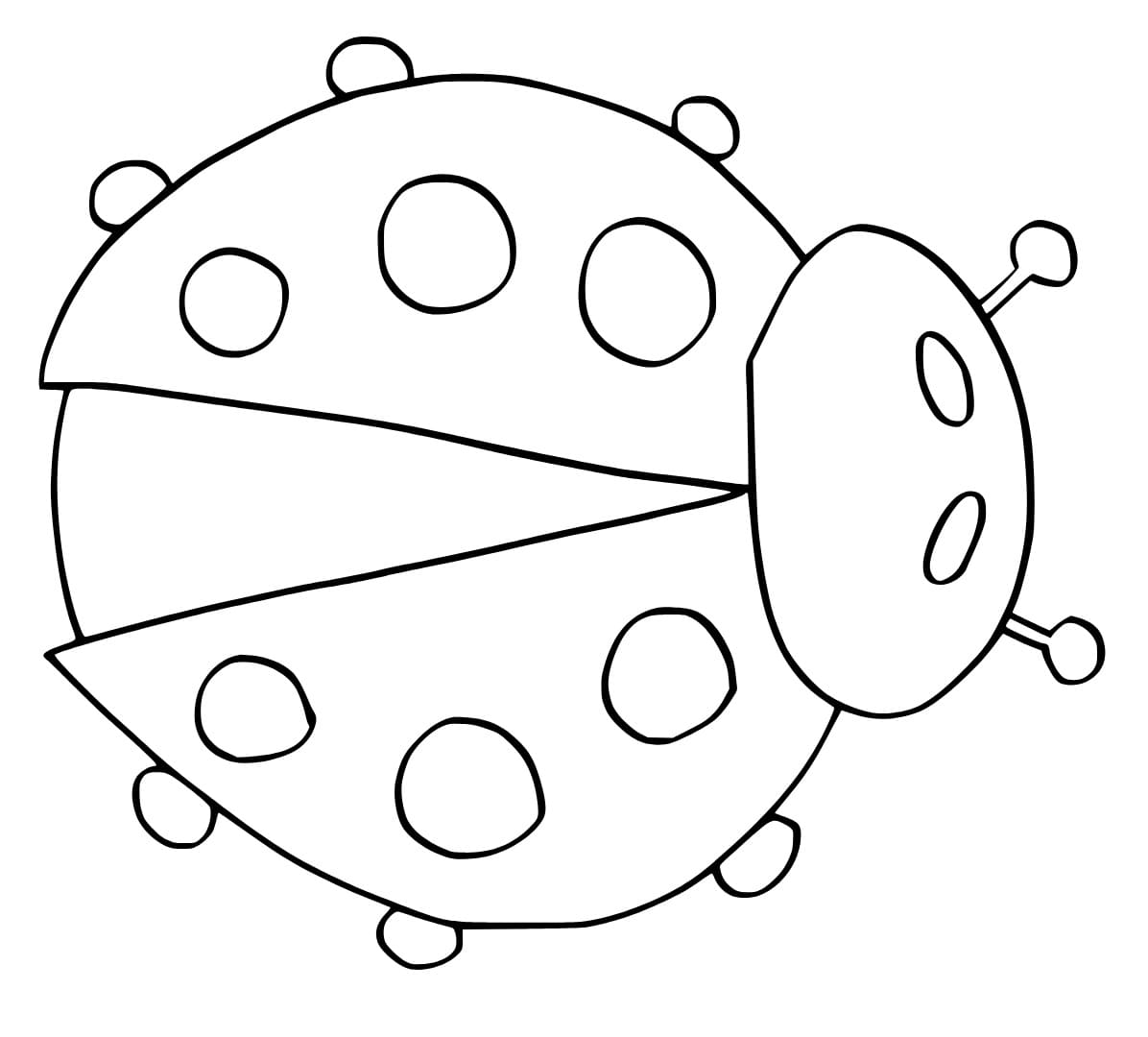 Coloriage Coccinelle facile pour les enfants à imprimer