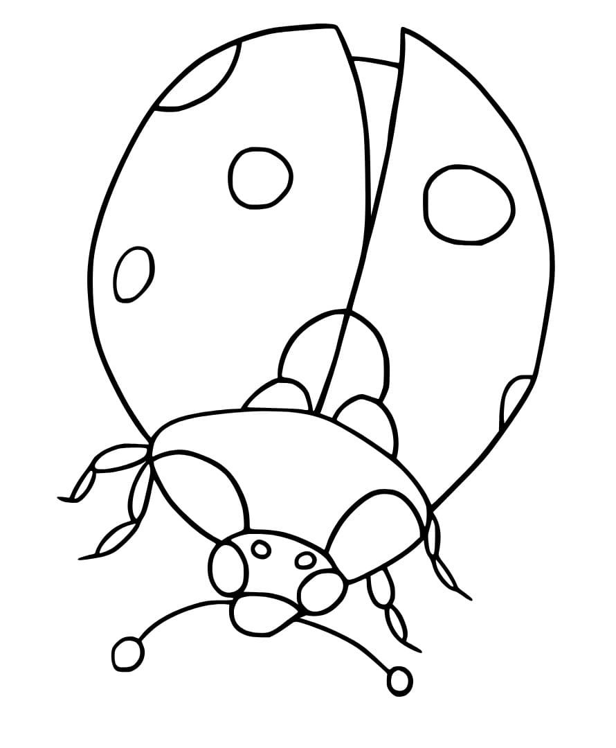 Coloriage Coccinelle imprimable gratuitement