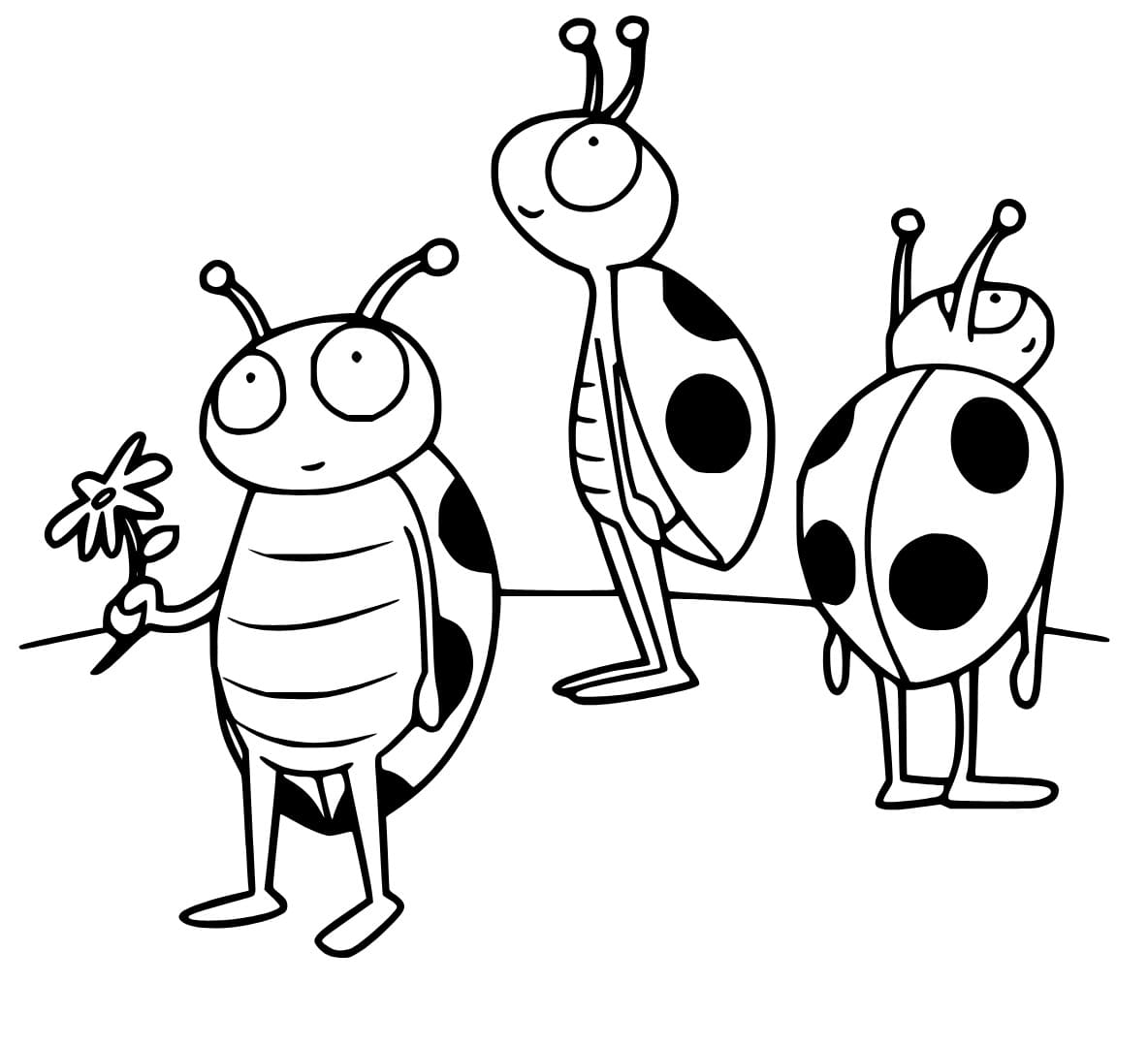 Coloriage Coccinelles amusantes à imprimer