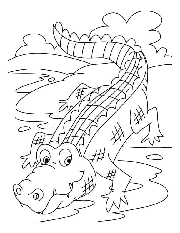 Coloriage Crocodile d'eau douce