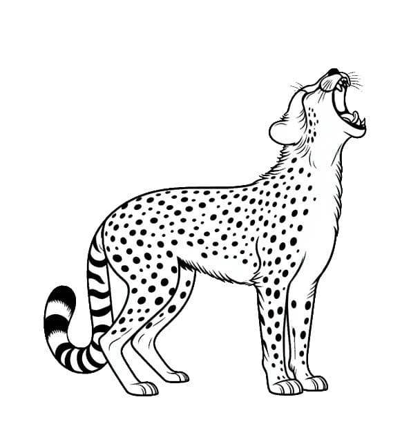 Coloriage Dessin Guépard 4