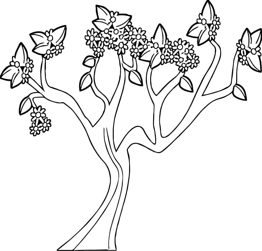 Coloriage Dessiner Arbre de Printemps 1