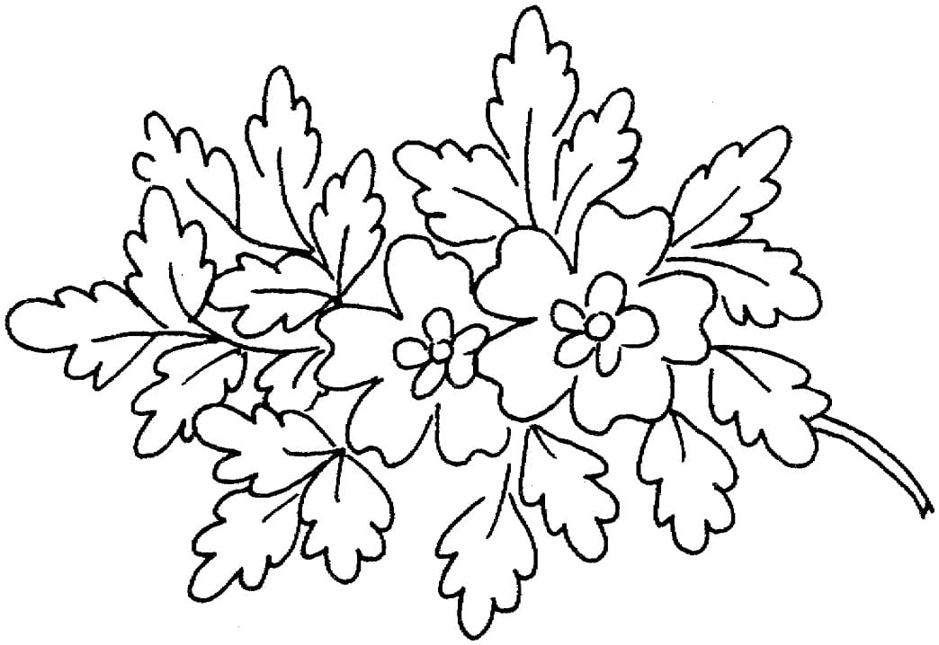 Coloriage Dessiner Fleurs au Printemps