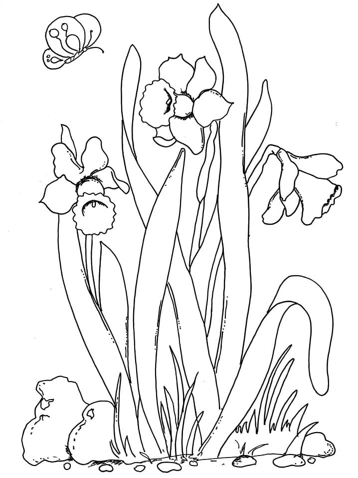 Coloriage Dessiner Fleurs de Printemps (1)