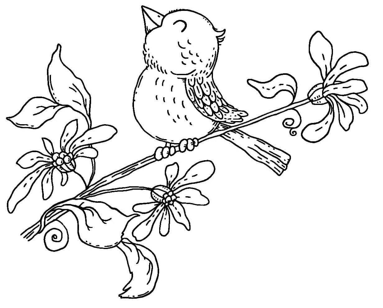 Coloriage Dessiner Oiseau de Printemps