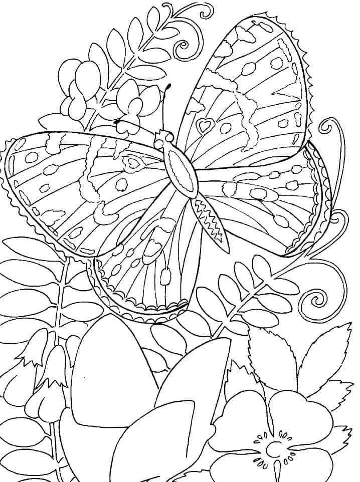 Coloriage Grand papillon à imprimer