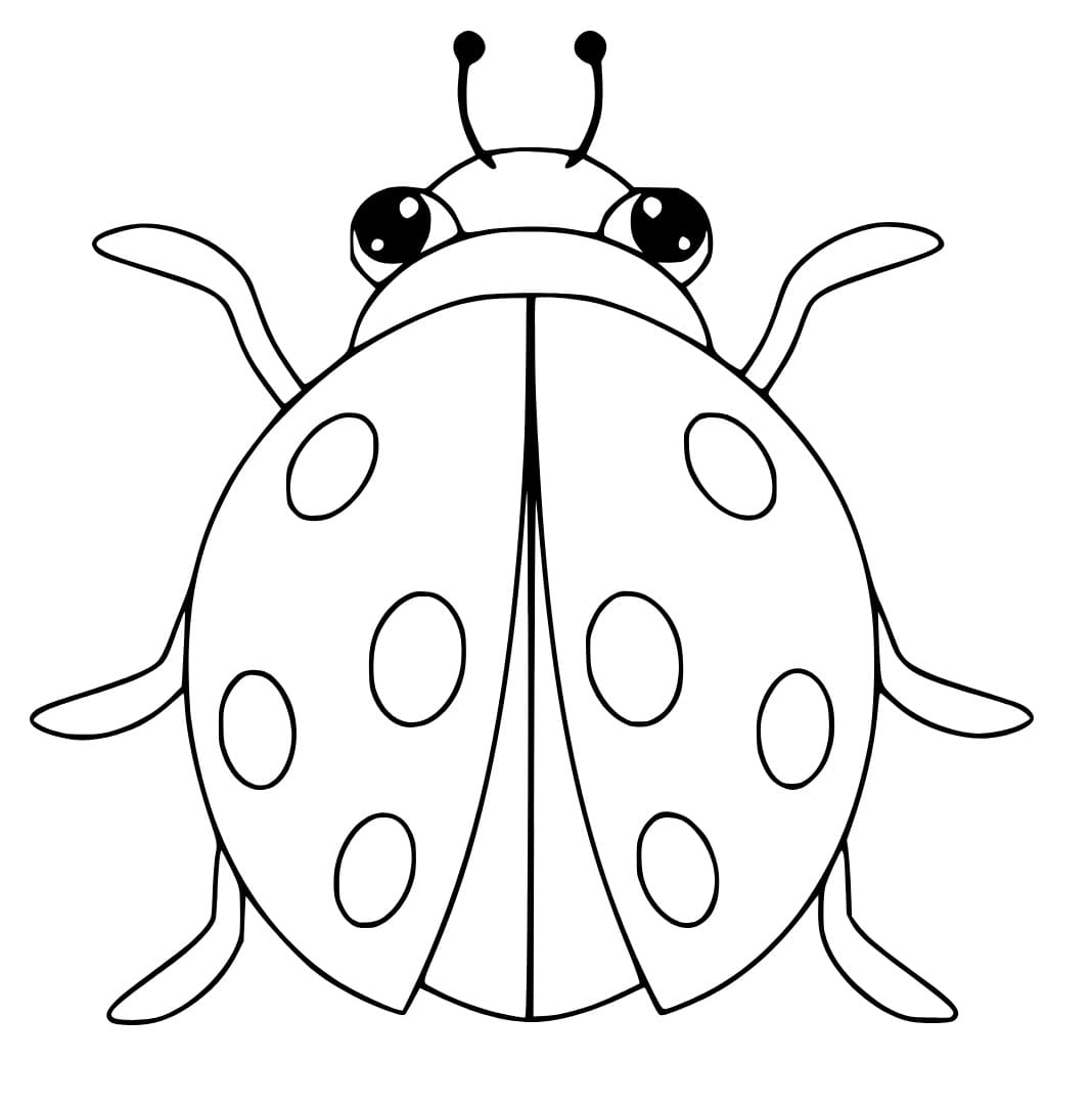 Coloriage Imprimer Coccinelle