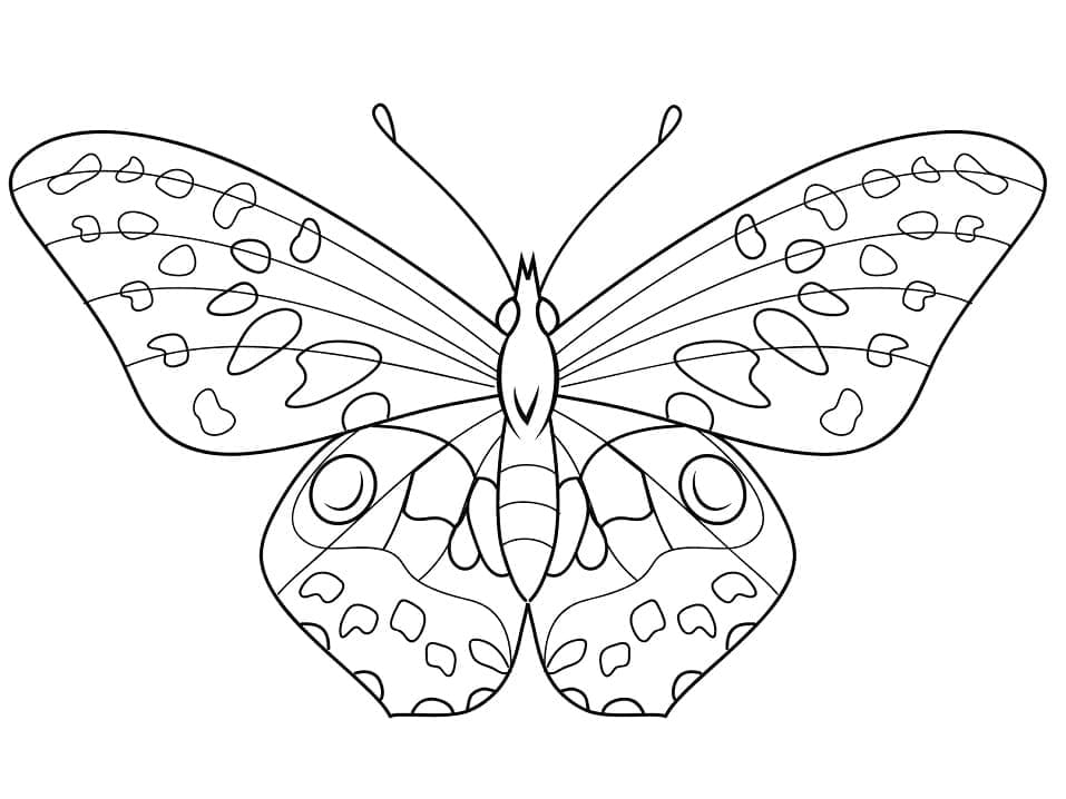 Coloriage Joli papillon gratuit à imprimer