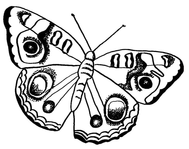 Coloriage Papillon étonnant imprimable à imprimer