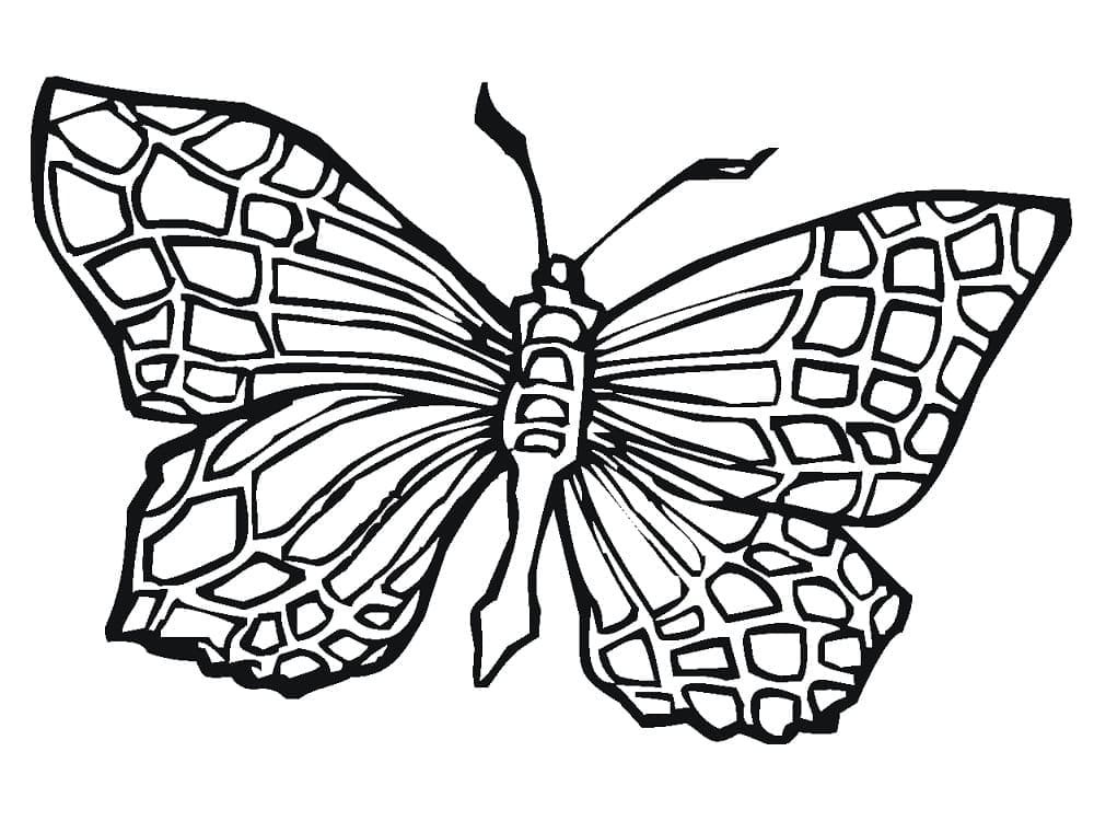 Coloriage Papillon géant à imprimer