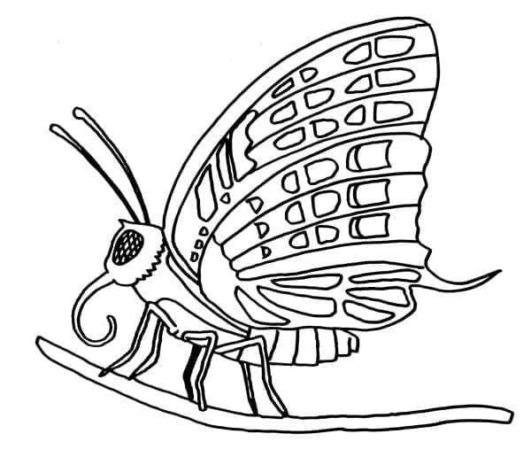 Coloriage Papillon gratuit à imprimer