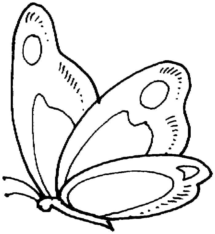 Coloriage Papillon gratuit et facile pour les enfants à imprimer